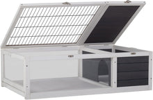 Load image into Gallery viewer, 40 Juvenile Tortoise Starter Kit