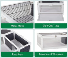 Load image into Gallery viewer, 40 Juvenile Tortoise Starter Kit