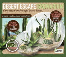 Load image into Gallery viewer, Desert Escape Growarium Plant Kit
