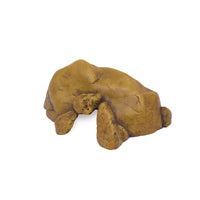 Load image into Gallery viewer, Exo Terra Hide Cave