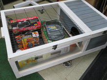 Load image into Gallery viewer, 40 Juvenile Tortoise Starter Kit