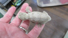 Load image into Gallery viewer, Leachianus Gecko aka New Caledonia Giant Gecko