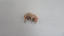 Load image into Gallery viewer, Frozen Pinkie Mouse