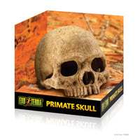 Load image into Gallery viewer, Exo Terra Primate Skull