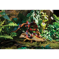 Load image into Gallery viewer, Exo Terra Crocodile Skull