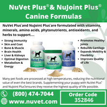 Load image into Gallery viewer, Nuvet Pet Supplements
