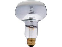Load image into Gallery viewer, Zoo Med Repti Basking Spot Lamp