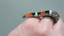 Load image into Gallery viewer, Tri color hognose