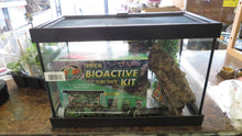 Load image into Gallery viewer, Bio-active Starter Terrarium small