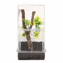 Load image into Gallery viewer, Arboreal Creature Kit
