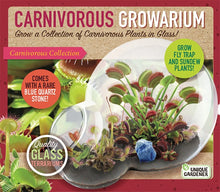 Load image into Gallery viewer, Carnivorous Growarium Plant Kit
