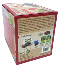 Load image into Gallery viewer, Carnivorous Growarium Plant Kit
