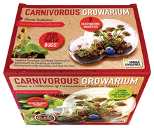 Load image into Gallery viewer, Carnivorous Growarium Plant Kit

