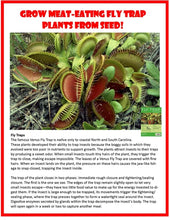 Load image into Gallery viewer, Carnivorous Growarium Plant Kit
