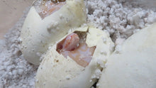 Load image into Gallery viewer, Albino het pied Ball Python
