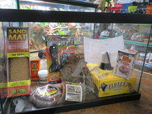 Load image into Gallery viewer, Leopard gecko Starter
