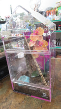 Load image into Gallery viewer, Martinique Pink Toe Tarantula
