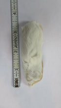 Load image into Gallery viewer, Frozen Adult Mouse
