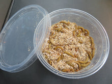 Load image into Gallery viewer, Meal Worms
