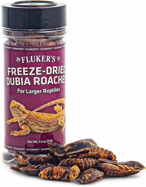 Fluker Freeze Dried Dubia Roaches