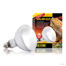 Load image into Gallery viewer, Exo Terra Solar Glo Mercury Vapor Bulb
