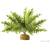 Load image into Gallery viewer, Exo Terra Boston Fern
