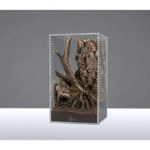 Load image into Gallery viewer, Acrylic Spider Crib with Magnetic Door
