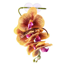 Load image into Gallery viewer, Pangea Hanging Orchid
